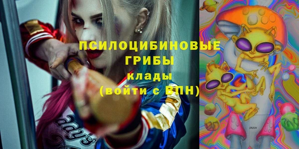 сатива Алзамай
