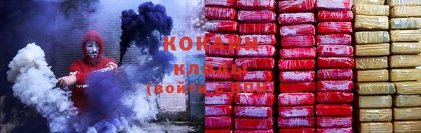 сатива Алзамай