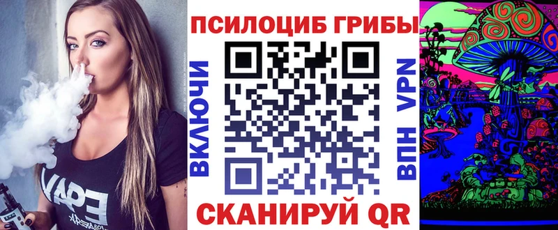blacksprut сайт  Лобня  Псилоцибиновые грибы Cubensis  дарнет шоп 